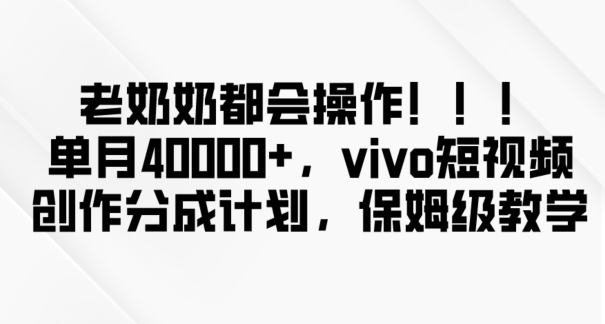 老奶奶都会操作，新平台无脑操作，单月40000+，vivo短视频创作分成计划【揭秘】-6688资源库