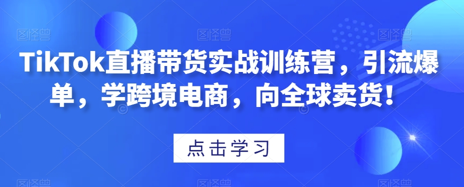 TikTok直播带货实战训练营，引流爆单，学跨境电商，向全球卖货！-6688资源库