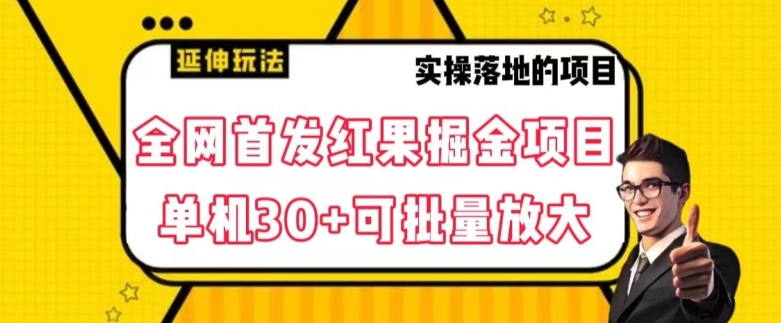 全网首发红果免费短剧掘金项目，单机30+可批量放大【揭秘】-6688资源库