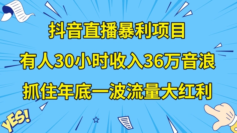 抖音直播暴利项目,有人30小时收入36万音浪,公司宣传片年会视频制作,抓住年底一波流量大红利【揭秘】-6688资源库