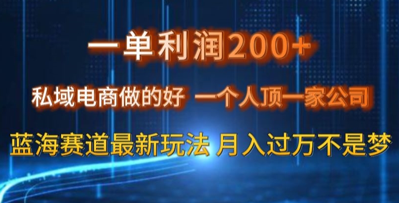 一单利润200私域电商做的好，一个人顶一家公司蓝海赛道最新玩法【揭秘】-6688资源库