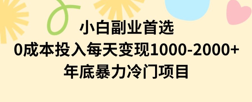 小白副业首选，0成本投入，每天变现1000-2000年底暴力冷门项目【揭秘】-6688资源库