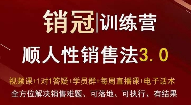 爆款！销冠训练营3.0之顺人性销售法，全方位解决销售难题、可落地、可执行、有结果-6688资源库