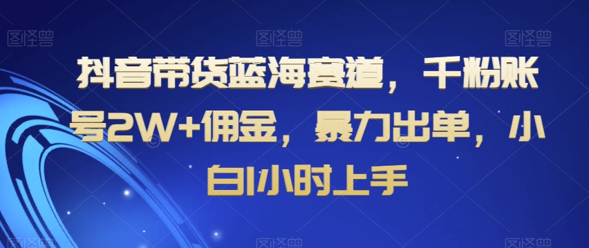 抖音带货蓝海赛道，千粉账号2W+佣金，暴力出单，小白1小时上手【揭秘】-6688资源库