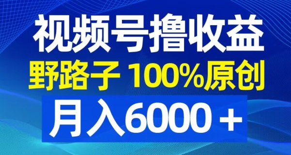 视频号野路子撸收益，100%原创，条条爆款，月入6000＋【揭秘】-6688资源库