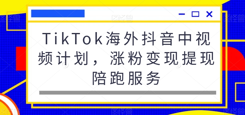 TikTok海外抖音中视频计划，涨粉变现提现陪跑服务-6688资源库