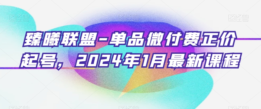 臻曦联盟-单品微付费正价起号，2024年1月最新课程-6688资源库