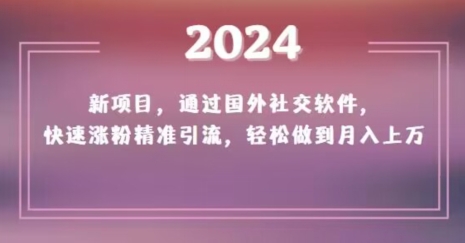 2024新项目，通过国外社交软件，快速涨粉精准引流，轻松做到月入上万【揭秘】-6688资源库
