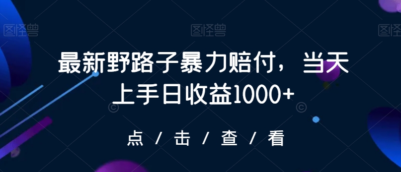 最新野路子暴力赔付，当天上手日收益1000+【仅揭秘】-6688资源库