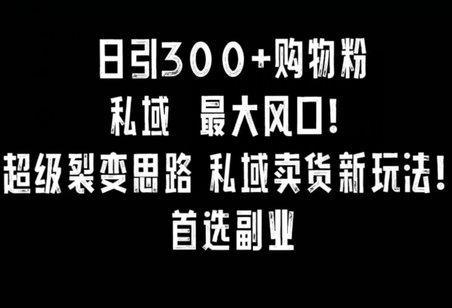日引300+购物粉，超级裂变思路，私域卖货新玩法，小红书首选副业【揭秘】-6688资源库