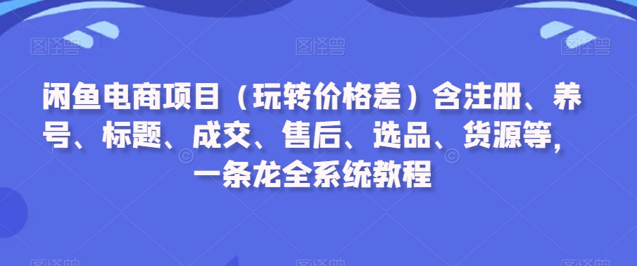 闲鱼电商项目(玩转价格差)含注册、养号、标题、成交、售后、选品、货源等,一条龙全系统教程-6688资源库