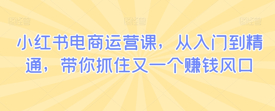 小红书电商运营课，从入门到精通，带你抓住又一个赚钱风口-6688资源库