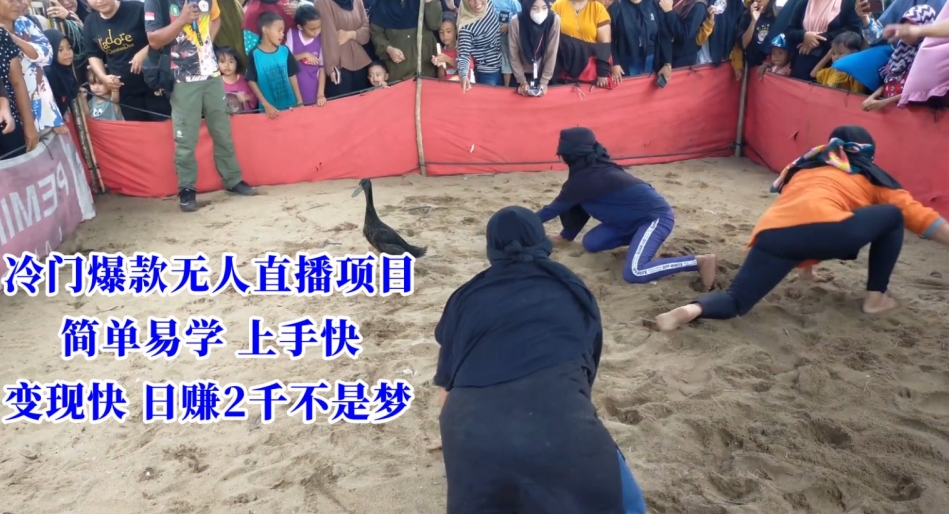 冷门爆款无人直播项目，简单易学上手快，变现快日赚2千不是梦【揭秘】-6688资源库