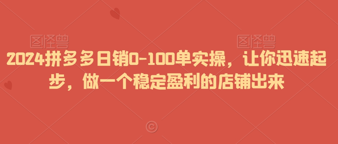 2024拼多多日销0-100单实操，让你迅速起步，做一个稳定盈利的店铺出来-6688资源库