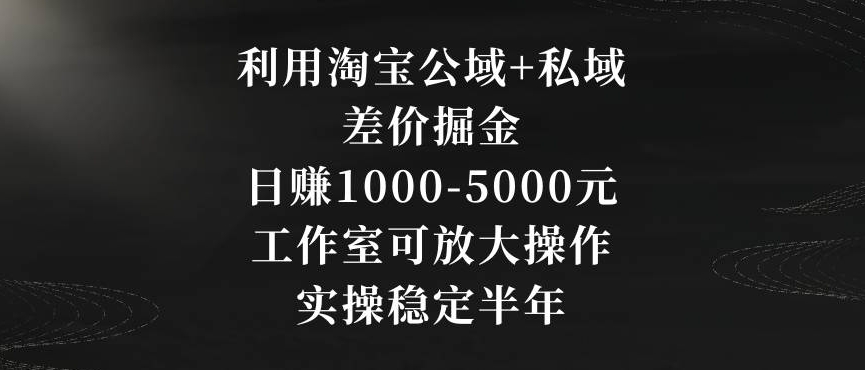 利用淘宝公域+私域差价掘金，日赚1000-5000元，工作室可放大操作，实操稳定半年【揭秘】-6688资源库