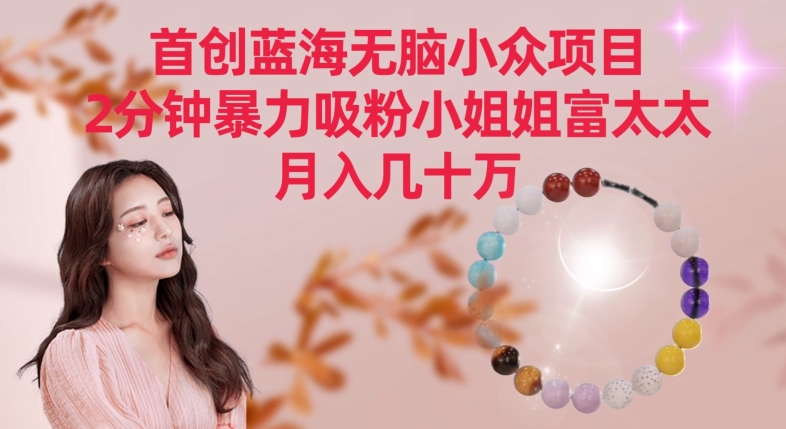 首创蓝海无脑小众项目，2分钟暴力吸粉小姐姐富太太，月入几十万【揭秘】-6688资源库