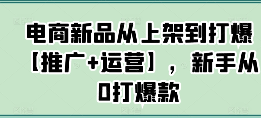 电商新品从上架到打爆【推广+运营】，新手从0打爆款-6688资源库