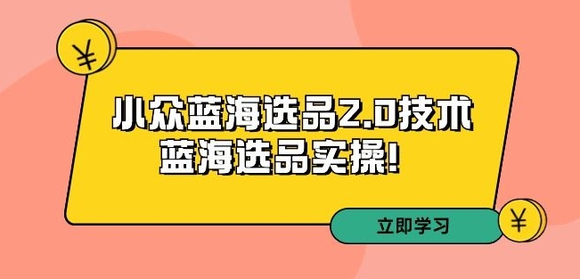拼多多培训第33期：小众蓝海选品2.0技术-蓝海选品实操！-6688资源库