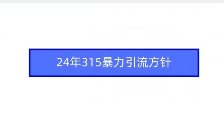 24年315暴力引流方针-6688资源库