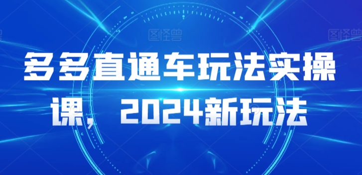 多多直通车玩法实操课，2024新玩法-6688资源库