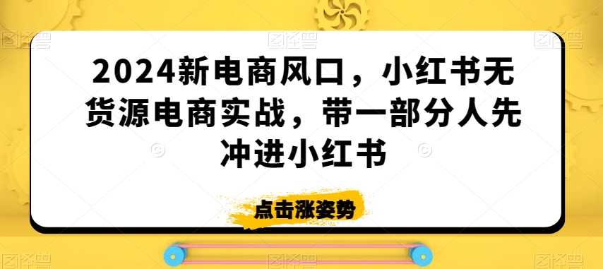 2024新电商风口，小红书无货源电商实战，带一部分人先冲进小红书-6688资源库