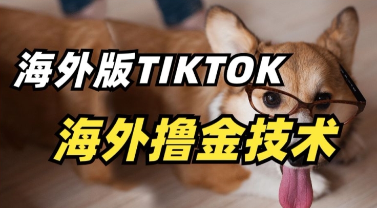 抖音海外版tiktok撸金技术，这个风口行业，赚钱真的不难【揭秘】-6688资源库