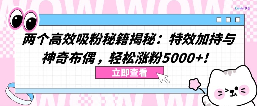 两个高效吸粉秘籍揭秘:特效加持与神奇布偶,轻松涨粉5000+【揭秘】-6688资源库