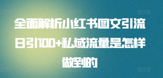 全面解析小红书图文引流日引100+私域流量是怎样做到的【揭秘】-6688资源库