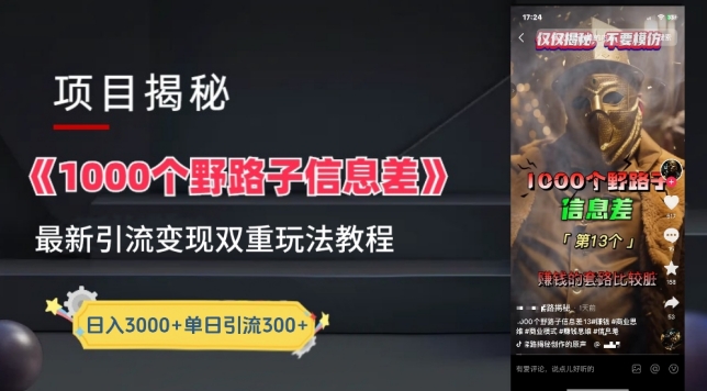 一千个野路子信息差最新玩法教程-变现+引流的玩法具体拆解【揭秘】-6688资源库