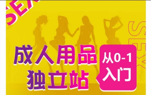 成人用品独立站从0-1入门，成品独立站运营全流程教学，七大好卖成品独立站推荐-6688资源库