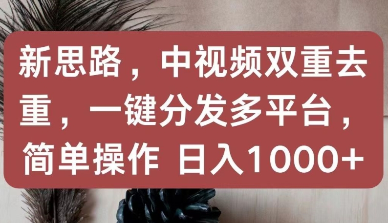 新思路，中视频双重去重，一键分发多平台，简单操作，日入1000+【揭秘】-6688资源库