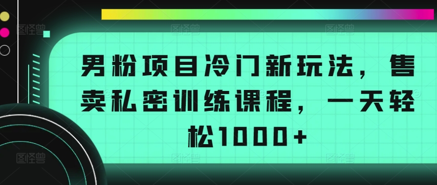 男粉项目冷门新玩法，售卖私密训练课程，一天轻松1000+【揭秘】-6688资源库