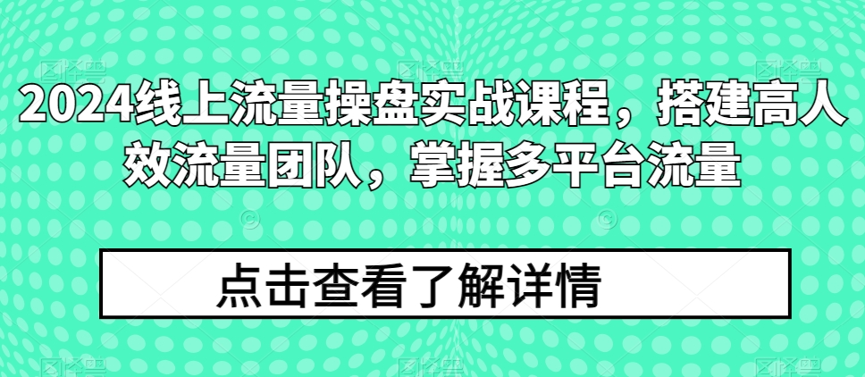 2024线上流量操盘实战课程，搭建高人效流量团队，掌握多平台流量-6688资源库