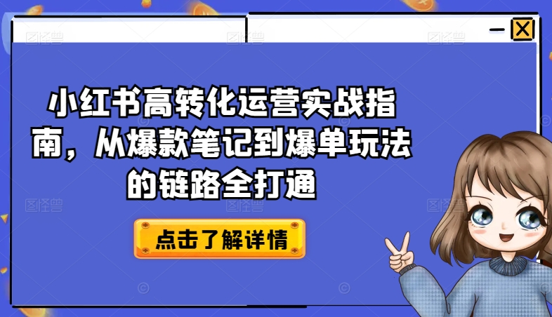 小红书高转化运营实战指南，从爆款笔记到爆单玩法的链路全打通-6688资源库