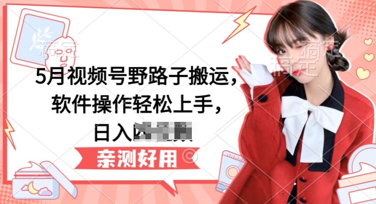 5月视频号野路子搬运，软件操作轻松上手，日入三位数【揭秘】-6688资源库