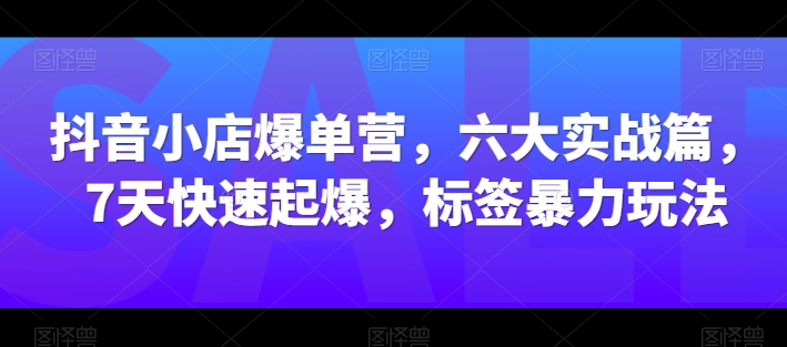抖音小店爆单营,六大实战篇,7天快速起爆,标签暴力玩法-6688资源库