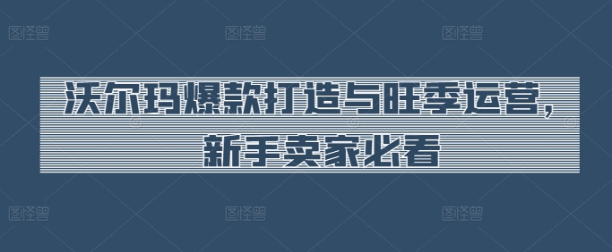 沃尔玛爆款打造与旺季运营,新手卖家必看-6688资源库