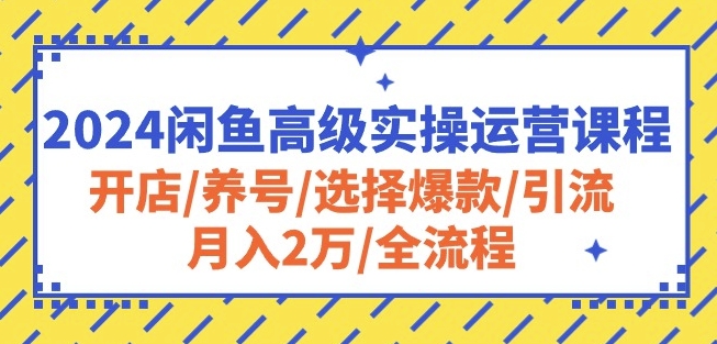 2024闲鱼高级实操运营课程:开店/养号/选择爆款/引流/月入2万/全流程-6688资源库