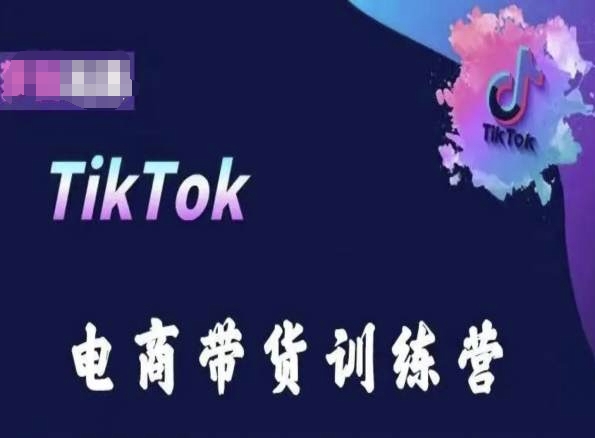 TikTok电商带货训练营，跟随时代潮流，跨境掘金-6688资源库