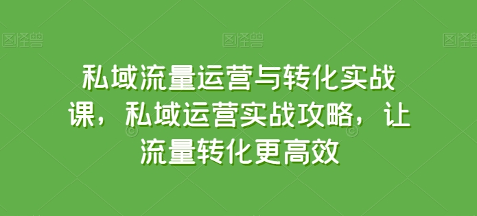 私域流量运营与转化实战课，私域运营实战攻略，让流量转化更高效-6688资源库