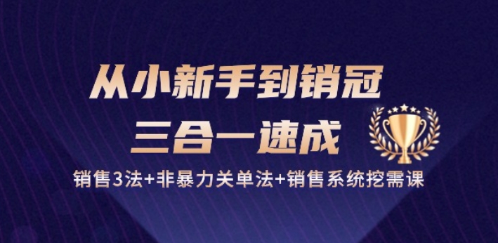 从小新手到销冠 三合一速成：销售3法+非暴力关单法+销售系统挖需课 (27节)-6688资源库