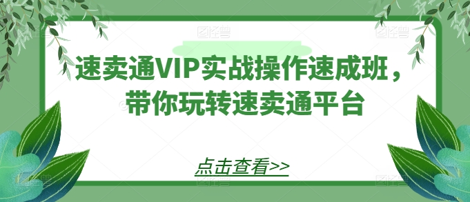 速卖通VIP实战操作速成班，带你玩转速卖通平台-6688资源库