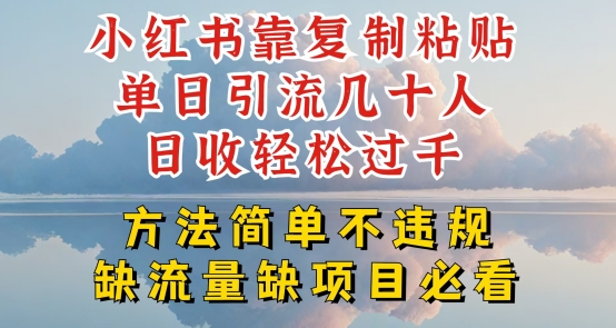 小红书靠复制粘贴单日引流几十人目收轻松过千，方法简单不违规【揭秘】-6688资源库