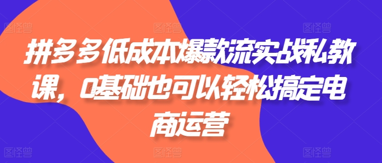 拼多多低成本爆款流实战私教课,0基础也可以轻松搞定电商运营-6688资源库