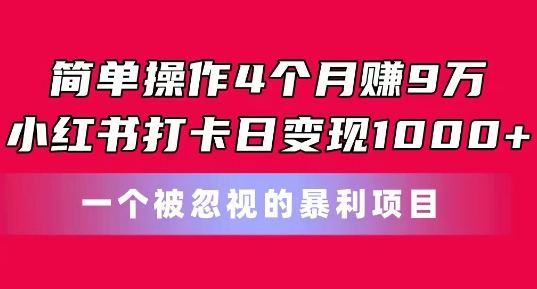 简单操作4个月赚9w，小红书打卡日变现1k，一个被忽视的暴力项目【揭秘】-6688资源库