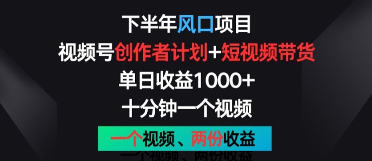 下半年风口项目，视频号创作者计划+视频带货，一个视频两份收益，十分钟一个视频【揭秘】-6688资源库