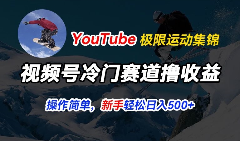 视频号冷门赛道撸收益，YouTube搬运极限运动集锦，暴力起号，操作简单流量高，轻松日入5张【揭秘】-6688资源库
