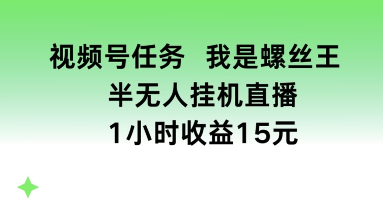 视频号任务，我是螺丝王， 半无人挂机1小时收益15元【揭秘】-6688资源库