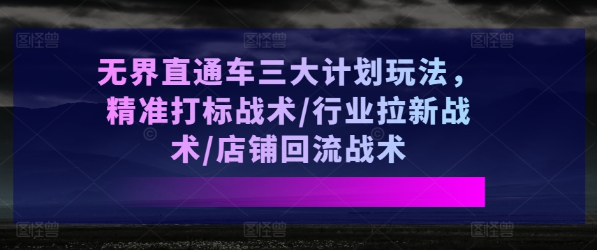 无界直通车三大计划玩法，精准打标战术/行业拉新战术/店铺回流战术-6688资源库