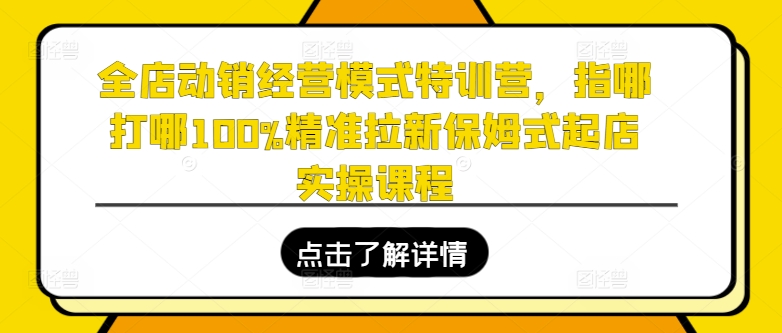 全店动销经营模式特训营，指哪打哪100%精准拉新保姆式起店实操课程-6688资源库